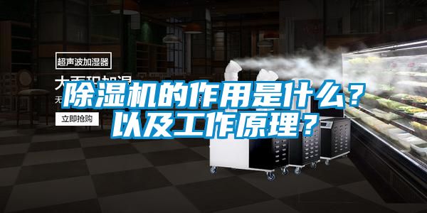 除濕機的作用是什么？以及工作原理？