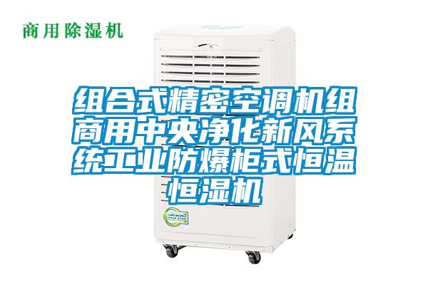 組合式精密空調(diào)機組商用中央凈化新風系統(tǒng)工業(yè)防爆柜式恒溫恒濕機