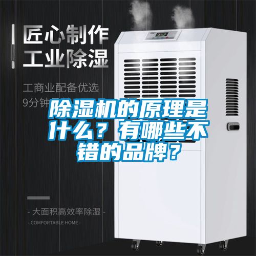 除濕機(jī)的原理是什么？有哪些不錯(cuò)的品牌？