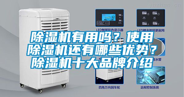 除濕機(jī)有用嗎？使用除濕機(jī)還有哪些優(yōu)勢？除濕機(jī)十大品牌介紹