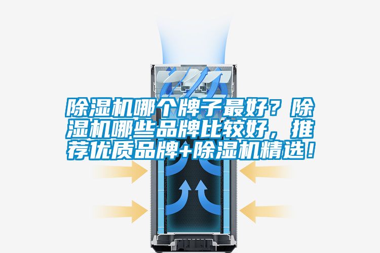 除濕機哪個牌子最好？除濕機哪些品牌比較好，推薦優(yōu)質品牌+除濕機精選！