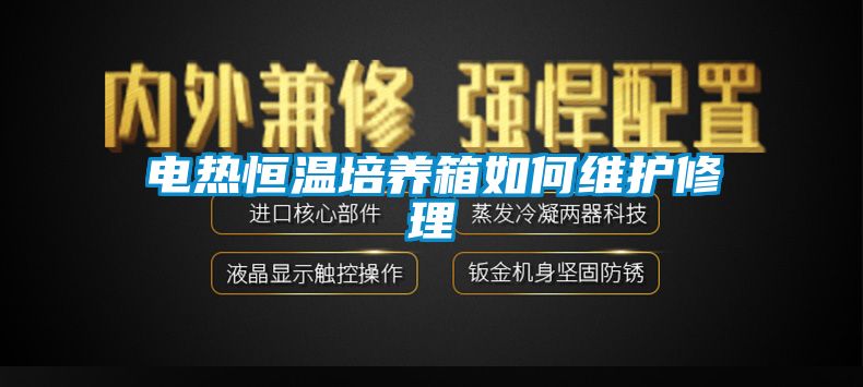 電熱恒溫培養(yǎng)箱如何維護(hù)修理