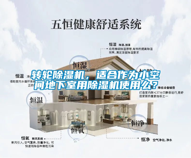 轉(zhuǎn)輪除濕機，適合作為小空間地下室用除濕機使用么？