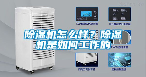 除濕機(jī)怎么樣？除濕機(jī)是如何工作的