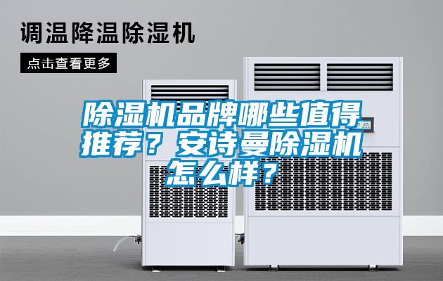 除濕機品牌哪些值得推薦？安詩曼除濕機怎么樣？