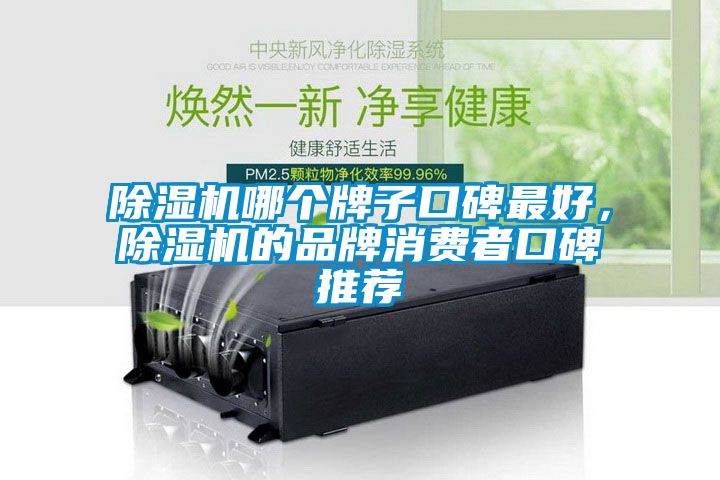 除濕機哪個牌子口碑最好，除濕機的品牌消費者口碑推薦