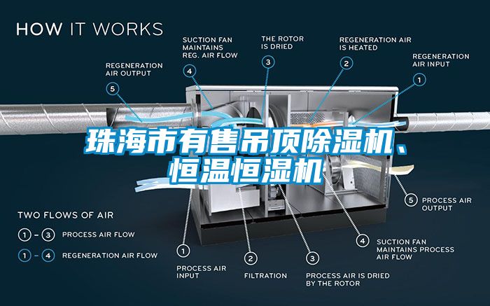 珠海市有售吊頂除濕機、恒溫恒濕機