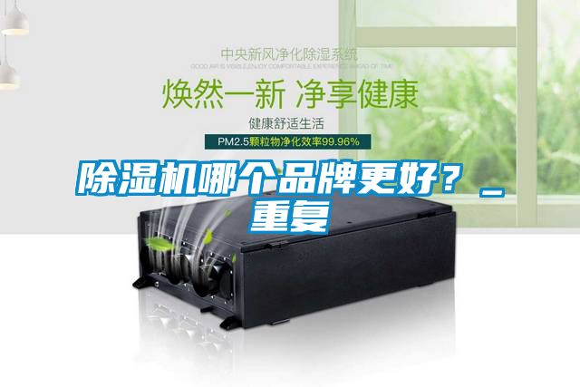 除濕機哪個品牌更好？_重復