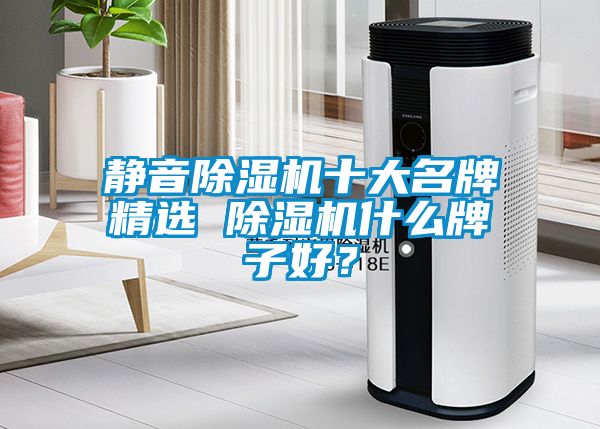 靜音除濕機十大名牌精選 除濕機什么牌子好？