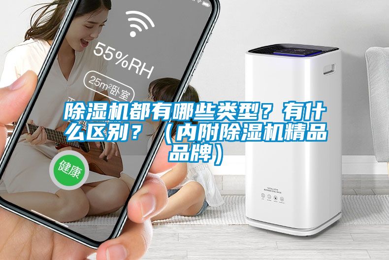 除濕機都有哪些類型？有什么區(qū)別？（內附除濕機精品品牌）