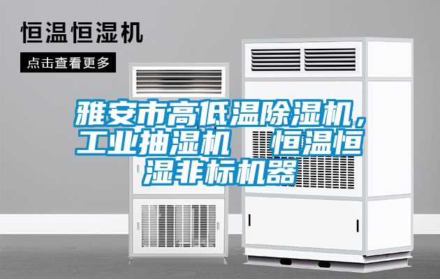 雅安市高低溫除濕機，工業(yè)抽濕機  恒溫恒濕非標(biāo)機器