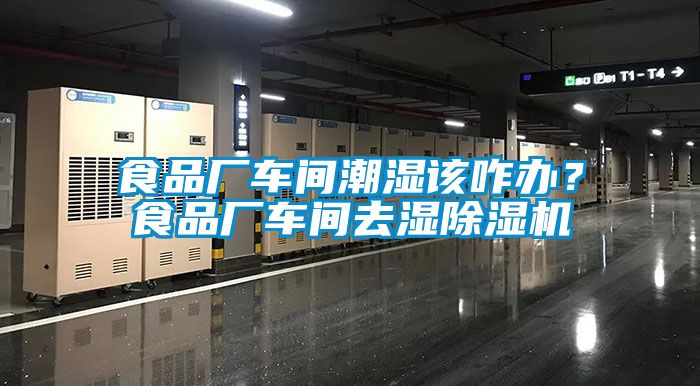 食品廠車間潮濕該咋辦？食品廠車間去濕除濕機