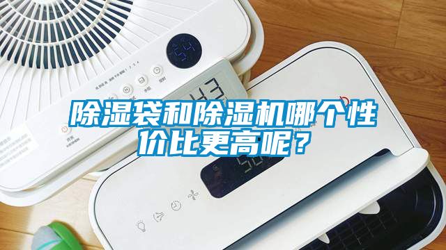 除濕袋和除濕機哪個性價比更高呢？