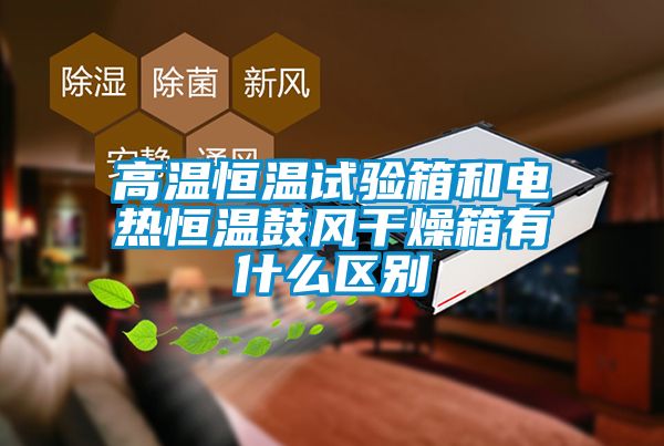 高溫恒溫試驗箱和電熱恒溫鼓風(fēng)干燥箱有什么區(qū)別